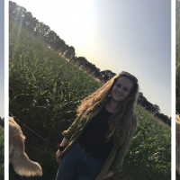 Sofie