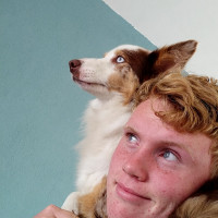 Daan